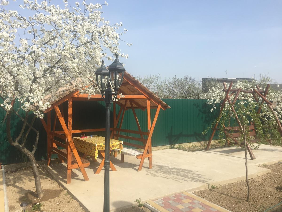 Міні Готель Вілла Вікторія بيرهوف المظهر الخارجي الصورة