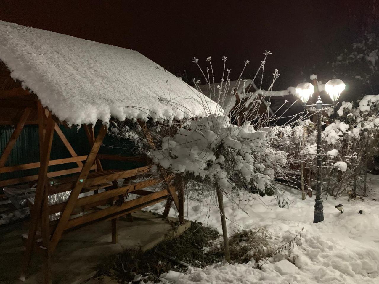 Міні Готель Вілла Вікторія بيرهوف المظهر الخارجي الصورة