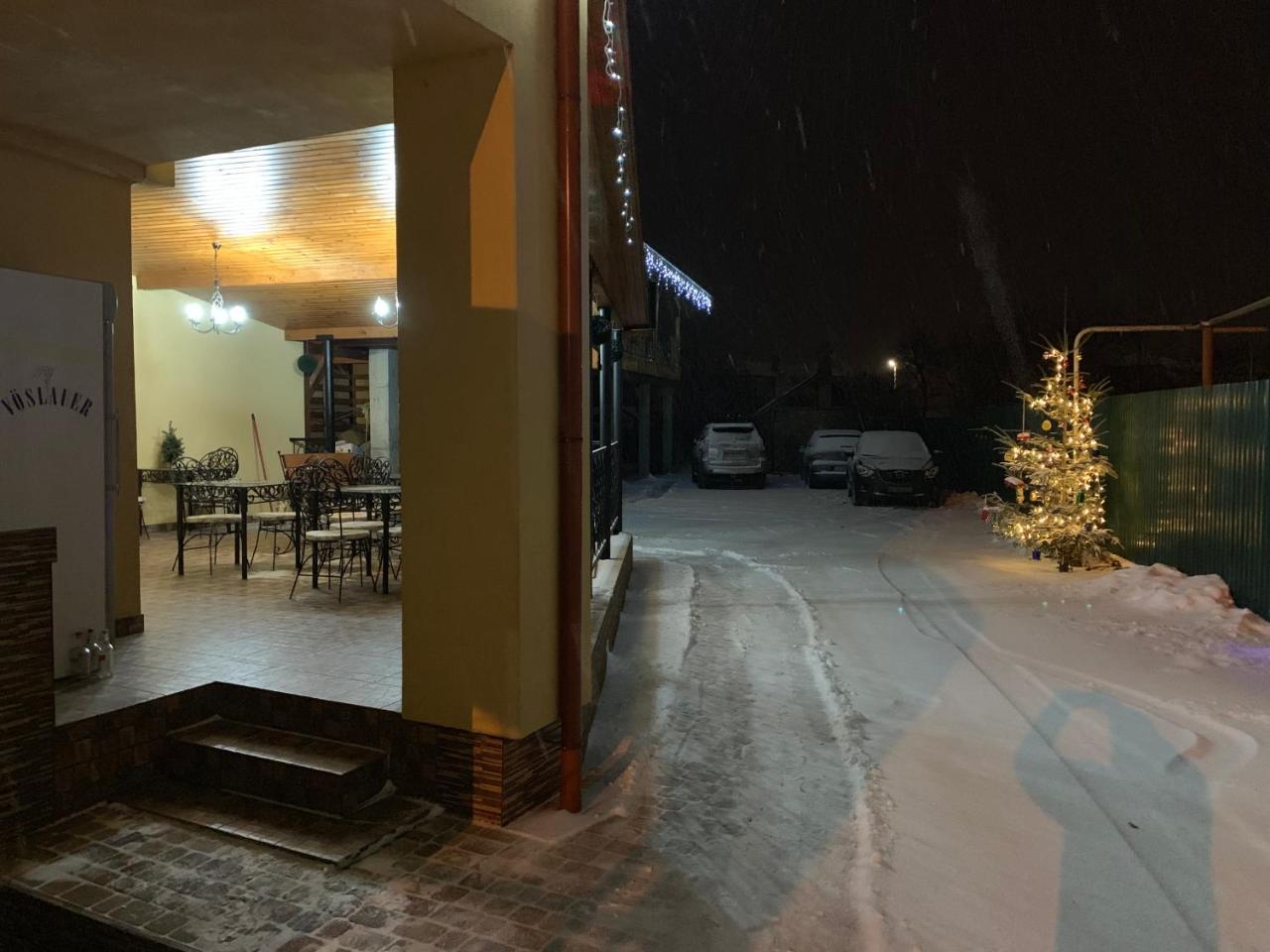 Міні Готель Вілла Вікторія بيرهوف المظهر الخارجي الصورة